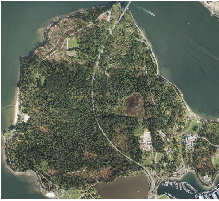 Stanley Park Invasive Plants - aerial photo 2008 showing windstorm damage.  From Mike Buffo master's thesis