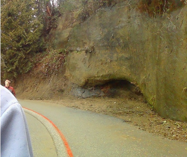 Stanley Park invasive plants - Rockface undercut